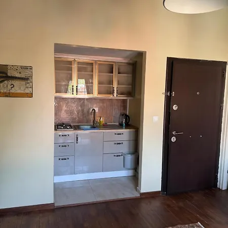Tarihi Dokusuyla Otantik Taş Ev Ayvalik